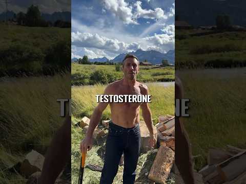 How to reverse low testosterone