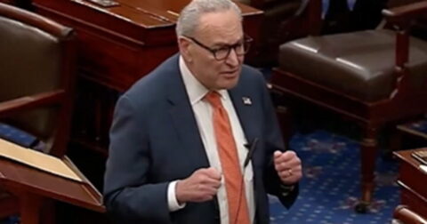 DEVELOPING: At Least 10 Senate Democrats Expected to Vote to Advance Package of Funding Bills to Reopen Government: Report