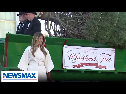 Melania Trump welcomes the White House Christmas tree
