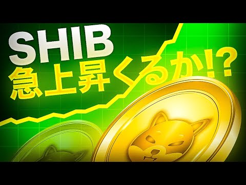 SHIBが今後急騰する!?柴犬コインの最新情報と価格予測をご紹介!! SHIBが今後急騰する!?柴犬コインの最新情報と価格予測をご紹介!!