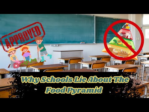 Why Schools Lie About The Food Pyramid