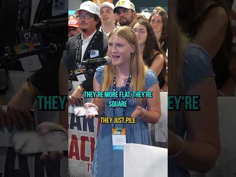 The Great Pancake vs Waffle Debate The Great Pancake vs Waffle Debate