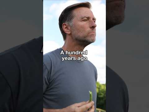 We Ate Better 100 Years Ago