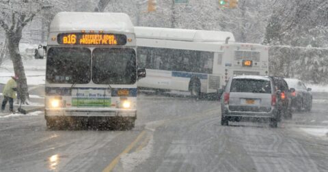 Poll Finds New England Women Feel Misled About Climate Policies