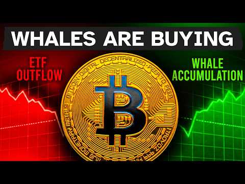 The ETF Lie Is Hiding Bitcoin’s Bottom