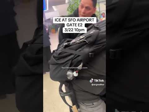 This is What Happens When Democrats Defund TSA This is What Happens When Democrats Defund TSA