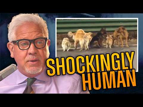 This Viral Dog Video Just Reminded Humanity of Something Crucial