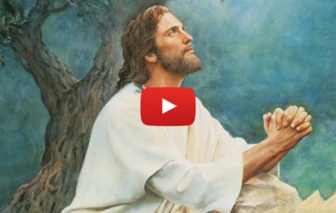 DON’T IGNORE THIS! People Cried Watching This VIDEO — The Most Powerful Way to Pray That Saved Lives, Made People Truly Happy, and Reunited Families!