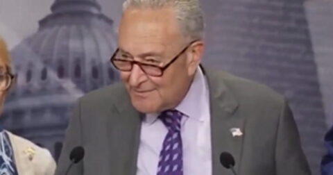 Appeals Court Upholds New York ‘Gas Stove Ban’ That Chuck Schumer Insisted Wasn’t Even Happening