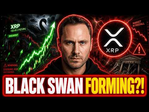 XRP HOLDERS BRACE NOW… A MASSIVE BLACK SWAN IS FORMING?!