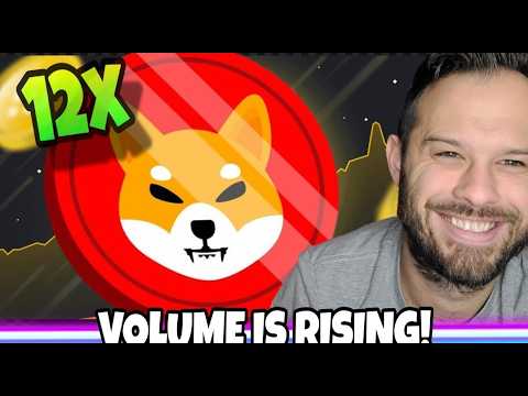 The 12x Volume Spike In Shiba Inu Coin Shows That Meme Coins Are Ready To Run!