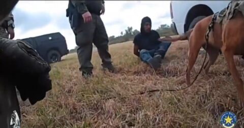 Texas DPS K-9 Locates Criminal Illegal Alien MS-13 Gang Member in Brush During 5 Mile Trek (VIDEO)