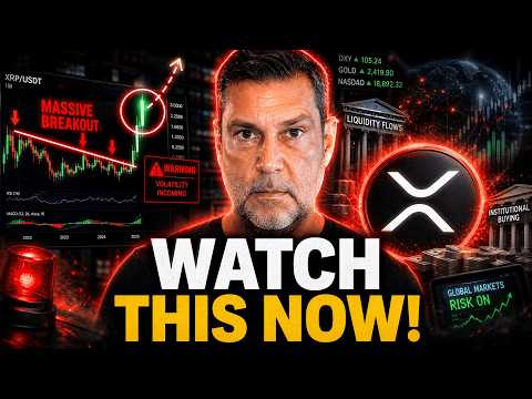 XRP INVESTORS BETTER WATCH THIS NOW! | RAOUL PAL