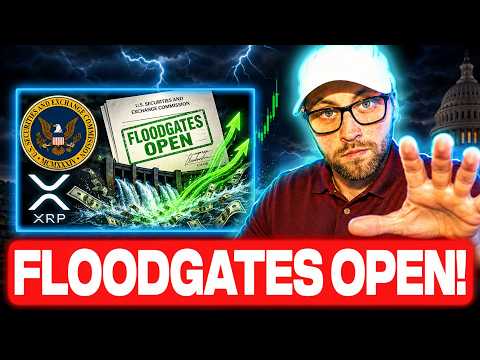 LISTEN UP NOW! THE SEC JUST OPENED THE FLOODGATES! (MASSIVE XRP NEWS!)