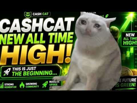 CashCat Just Hit A New All Time High! Robinhood Meme Coins Soar As Cash Cat Crypto Leads!