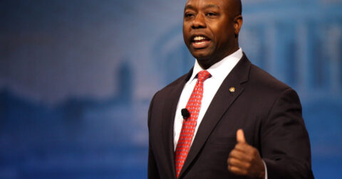 Sen. Tim Scott Predicts GOP Will ‘Without Question’ Hold The Senate in November and May Even Expand Majority